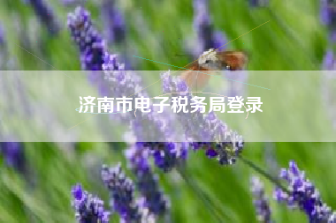 济南市电子税务局登录