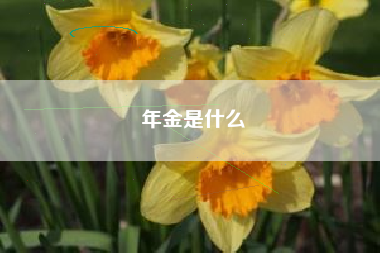 年金是什么