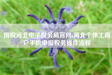 国税河北电子税务局官网(河北个体工商户手机申报税务操作流程
)