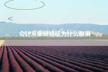 会计从业资格证为什么取消