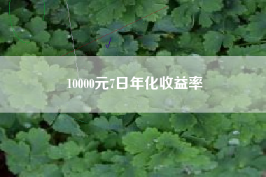 10000元7日年化收益率
