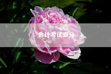 会计考试查分