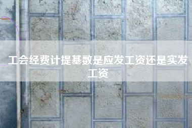 详细阅读:工会经费计提基数是应发工资还是实发工资 工会经费计提基数是应发工资还是实发工资