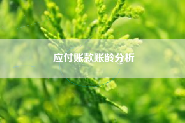 应付账款账龄分析