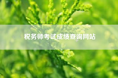 税务师考试成绩查询网站