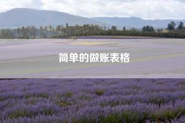 简单的做账表格