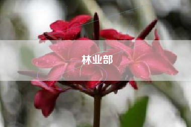 林业部