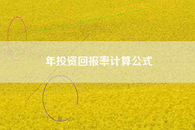 年投资回报率计算公式