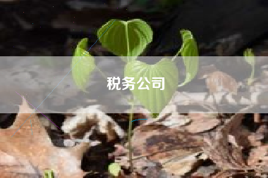 税务公司