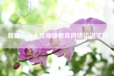 新疆会计人员继续教育网络培训平台