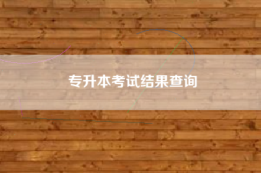 专升本考试结果查询