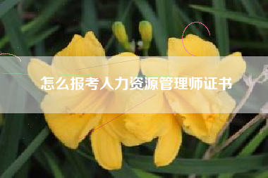 怎么报考人力资源管理师证书