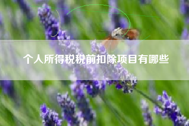 个人所得税税前扣除项目有哪些