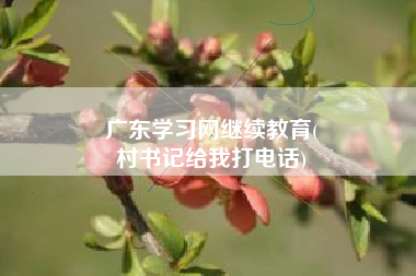 广东学习网继续教育(
村书记给我打电话)