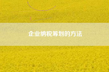 企业纳税筹划的方法