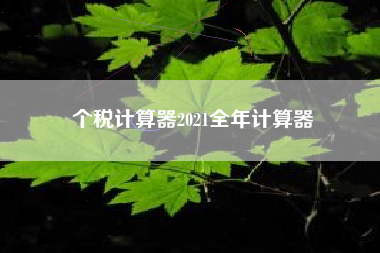 个税计算器2021全年计算器