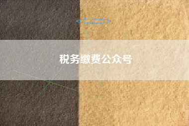 详细阅读:税务缴费公众号 税务缴费公众号