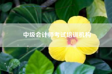 详细阅读:中级会计师考试培训机构 中级会计师考试培训机构