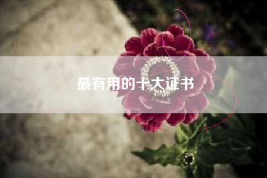 详细阅读:最有用的十大证书 最有用的十大证书