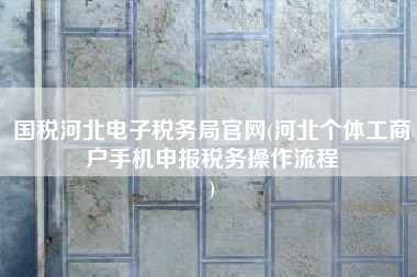 国税河北电子税务局官网(河北个体工商户手机申报税务操作流程
)