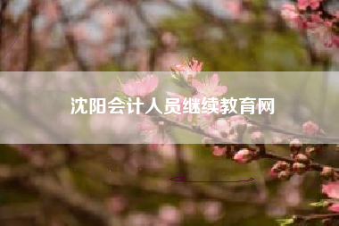 详细阅读:沈阳会计人员继续教育网 沈阳会计人员继续教育网