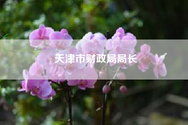 详细阅读:天津市财政局局长 天津市财政局局长