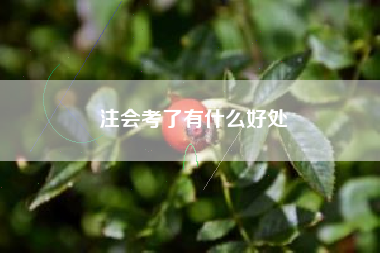 详细阅读:注会考了有什么好处 注会考了有什么好处
