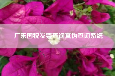 广东国税发票查询真伪查询系统