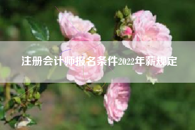注册会计师报名条件2022年薪规定