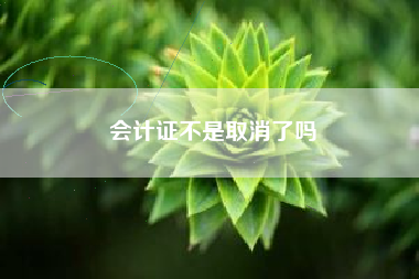 会计证不是取消了吗