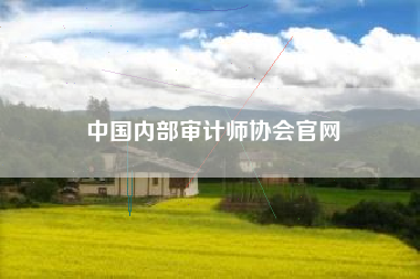 中国内部审计师协会官网