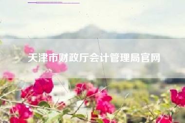 详细阅读:天津市财政厅会计管理局官网 天津市财政厅会计管理局官网