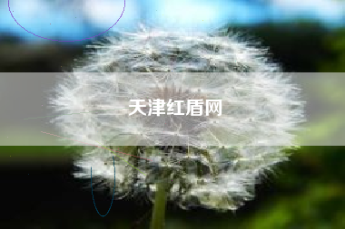 详细阅读:天津红盾网 天津红盾网