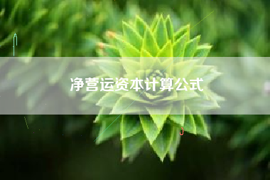 净营运资本计算公式