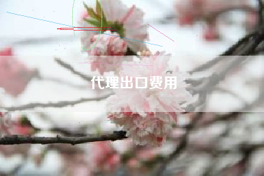 详细阅读:代理出口费用 代理出口费用