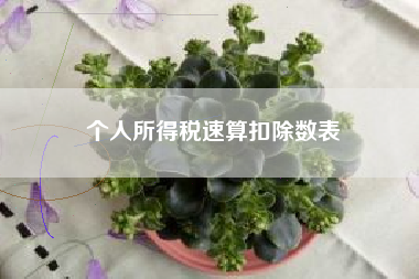详细阅读:个人所得税速算扣除数表 个人所得税速算扣除数表