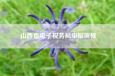 详细阅读:山西省电子税务局申报流程 山西省电子税务局申报流程