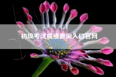 详细阅读:初级考试成绩查询入口官网 初级考试成绩查询入口官网