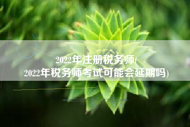 2022年注册税务师(
2022年税务师考试可能会延期吗)