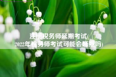 注册税务师延期考试(
2022年税务师考试可能会延期吗)
