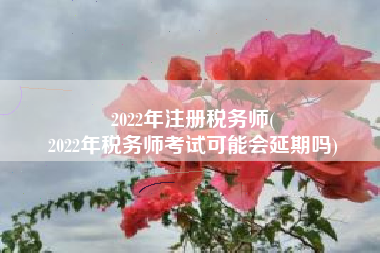 2022年注册税务师(
2022年税务师考试可能会延期吗)