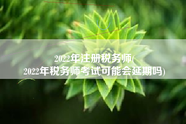 2022年注册税务师(
2022年税务师考试可能会延期吗)