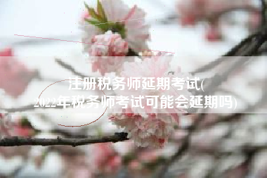 注册税务师延期考试(
2022年税务师考试可能会延期吗)