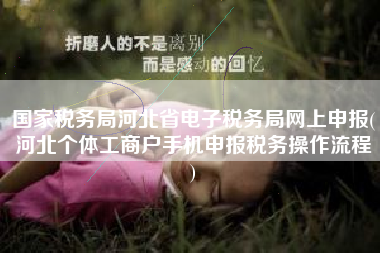 国家税务局河北省电子税务局网上申报(河北个体工商户手机申报税务操作流程
)