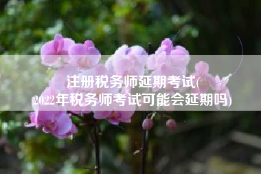 注册税务师延期考试(
2022年税务师考试可能会延期吗)