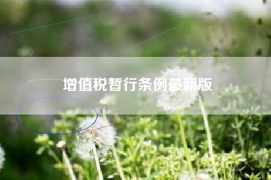 详细阅读:增值税暂行条例最新版 增值税暂行条例最新版