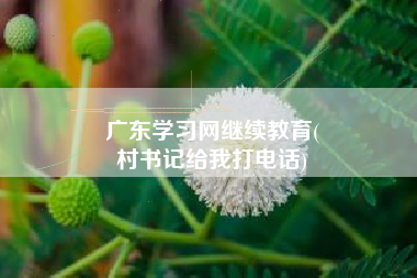 广东学习网继续教育(
村书记给我打电话)
