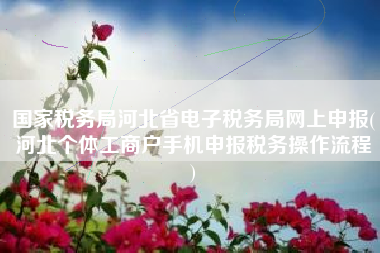 国家税务局河北省电子税务局网上申报(河北个体工商户手机申报税务操作流程
)