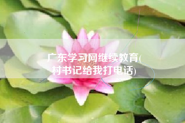 广东学习网继续教育(
村书记给我打电话)