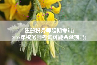 注册税务师延期考试(
2022年税务师考试可能会延期吗)